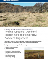 Funding Support for Woodland Creation in the Highland Native Woodland Target Area